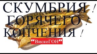 🔴Как  Я Приготовил  СКУМБРИЮ ГОРЯЧЕГО КОПЧЕНИЯ на КУХНЕ ! На ПЛИТЕ ! Пришлось Менять Плиту !