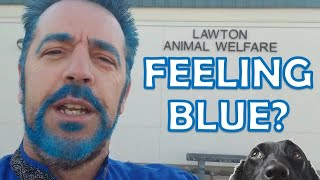 Are You Feeling Blue?