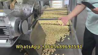 Cheese Stick Machine Cheese Balls Making Machine Snacks Making Machine Food Extruder Machine