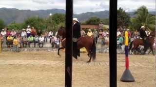 CAMPEONATO HEMBRAS TROTE Y GALOPE CAMPOALEGRE 2012