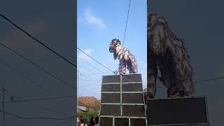 aksi barongsai naik ke sound sistem #shorts #burokcirebon #teamrued #burokojm