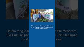 BRI Unit Likupang  serahkan 330 bibit tanaman untuk program BRI Menanam