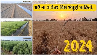 ઘઉં નું વાવેતર કરવાની રીત 2024 || ઘઉં ની વેરાયટી || પાયાખાતર || નિંદામણ નાશક દવા ||wheat farming 🌾..