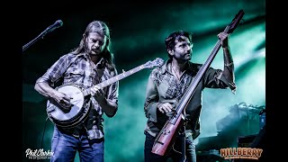 Elephant Revival plays The Pasture at the Hillberry Music Festival in Eureka Springs, AR 2024 #4k