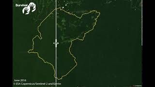 Before and after: deforestation in the Amazon