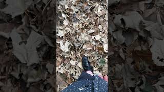 crunching autumn leaves