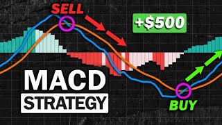 NECER Miss a TREND MACD Indicator Trading Strategy | MACD Divergence