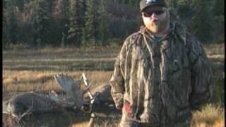 2 BULL MOOSE KILL EACH OTHER IN COMBAT