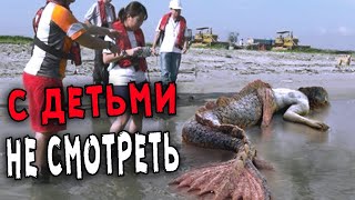 Водолазы вздрогнули, когда это всплыло на поверхность! Находки будоражащие ВЕСЬ МИР!