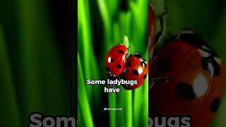 She 🐞 can devour 9000 ... !!😱 #shorts #terratrivia #nature #subscribe