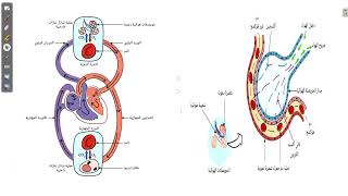 اخر حلقة تانية ثانوي ابداع