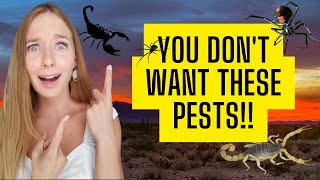 Pest Control in Arizona