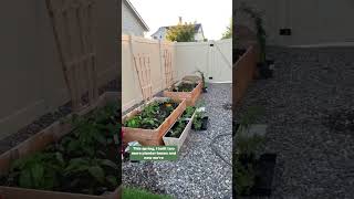 DIY Backyard Transformation: sod, flower beds, planter boxes, vegetable and cut flower garden