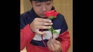 Rose Regeneration (Red) - Magic Trick