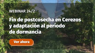 [Webinar] Fin de postcosecha en Cerezos y adaptación al período de dormancia