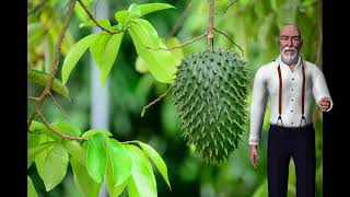 10 Amazing Benefits Of Soursop For Skin, Hair And Health