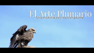 A pregunta expressa - Pódcast - El Arte Plumario: Una historia escrita con pluma