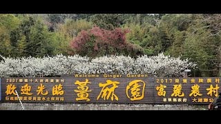 #257 【Around Taiwan On Foot】《Miaoli》Sanyi Art Village，Sanyi Wood Sculpture Museum，Jiangmayuan【19 KM】