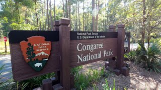 Congaree National Park, Hopkins, SC