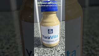 Вирощування різних видів капусти з добривом YaraVita Brassitrel PRO