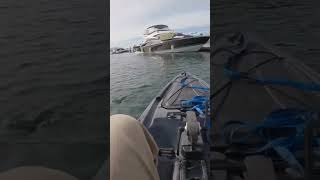 Fishing the Hover rig with a surprise catch