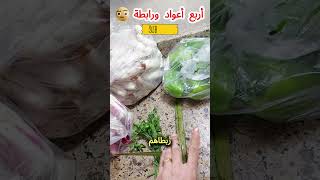 😂 كارثة خضرة المحشي في الصيف: 4 أعواد و رابطة؟! 🌱 #tiktok  #محشي #shorts