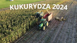 Dziki w Kukurydzy?!🔥Oporowa Kukurydza 2024🔥Zetor, Ursus, John deere🔥Suwalszczyzna🔥