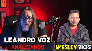 Leandro Voz analisou meu canal #leandrovoz #galeradavoz #reaction #tecnicavocal #cortes #sensacional