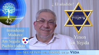 Kabbalah: Los secretos del árbol de la vida - clase 42