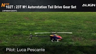 Align T-Rex 700X with NEW Autorotation Tail Drive Gear Set - Luca Pescante