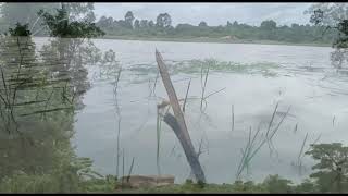 #calm traditional music with rain