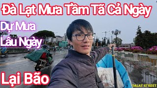 Đà Lạt Mưa Cả Ngày Buồn Ghê, Mở Chuyến Bay Đà Lạt- Cần Thơ