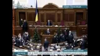 Драка в Верховной Раде: повалили елку 11.01.2013