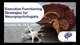 Executive Functioning Strategies for Neuropsychologists