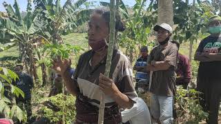 Oke - Yes 🤣: Obrolan Santai Warga dan Bupati Nagekeo di sebuah pondok kebun Raja Timur