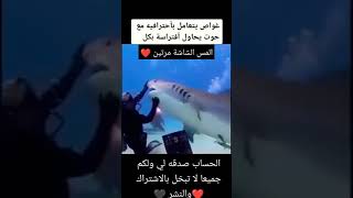 قرش  يحاول التهام الغواص😱لاكن الغواص يتعامل معه باحترافيه #shorts