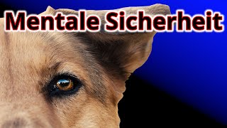 Wie Du einen unsicheren/ängstlichen Hund mental stärker und selbstsicherer machst!