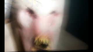 Leaked Video Of Strange Alien Creature 2018