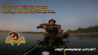 Snakehead Catch During Kayak Bass Tournament