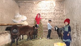 Village life Afghanistan | Daily routine village life | Villagers cooking Local village food Halva