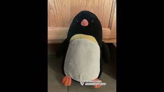 Penguin singing wellerman #penguin