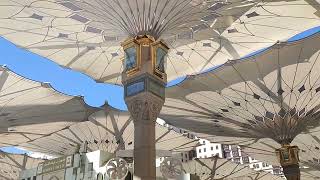 Walk through Masjid Nabvi in Madinah 2024 | Masjid Nabvi umbrella |  مسجد نبوی کے پر نور مناظر