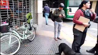 colision entre bicicleta y monopatín eléctrico