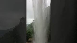 amazing waterfall in the jungle 😯😯🏞️#shorts #waterfall#nature