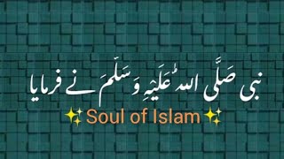 Nabi Pak ﷺ Ny Farmaya |Namaz Na Chorna |Molana Tariq Jamil |Soul of Islam |Islamic Status|emotional