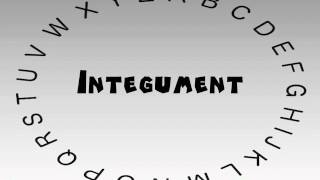 How to Say or Pronounce Integument