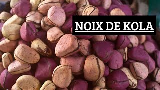 La noix de kola