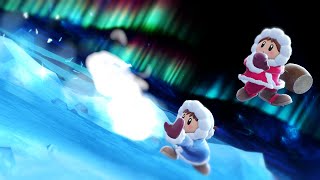 I used to play Ice Climbers a bit