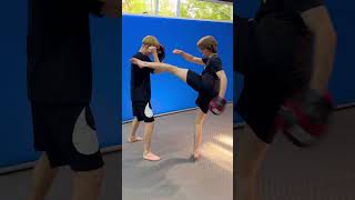 Taekwondo Training/Kicks & Flips