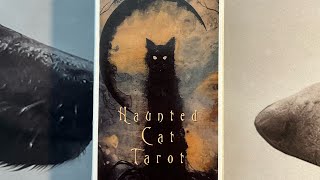 Haunted Cat Tarot  Jeu déconseillé